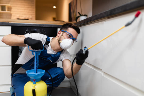 Best Pest Removal Services  in Buchanan, NY
