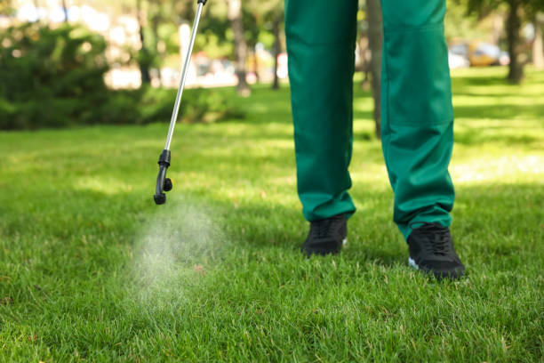 Best Wasp Removal Services  in Buchanan, NY