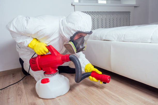 Best Affordable Pest Control Services  in Buchanan, NY