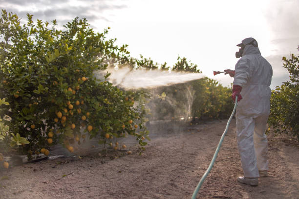 Best Mosquito Control Services  in Buchanan, NY