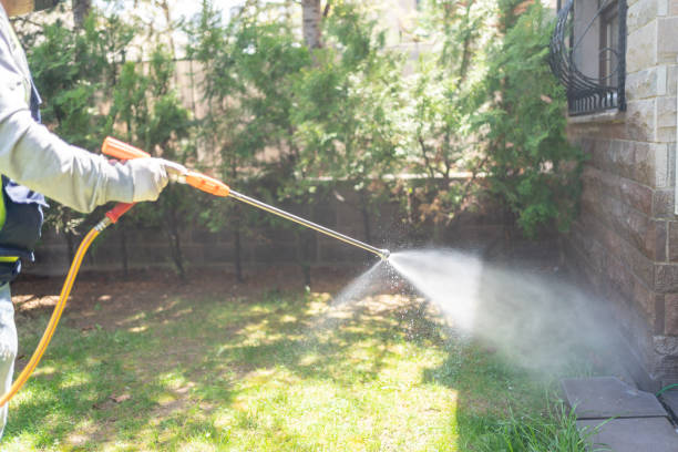 Best Mosquito Control Services  in Buchanan, NY