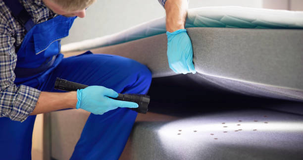 Best Wasp Removal Services  in Buchanan, NY
