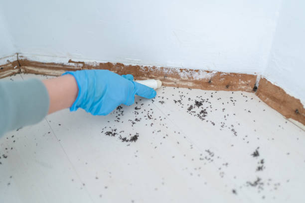 Pest Prevention Services in Buchanan, NY