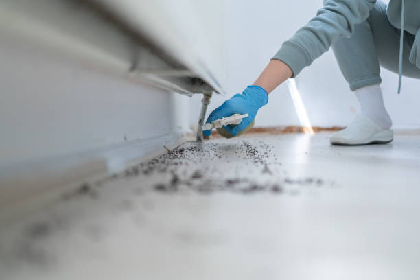 Best Cockroach Control Services  in Buchanan, NY