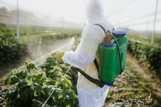 Best Pest Prevention Services  in Buchanan, NY
